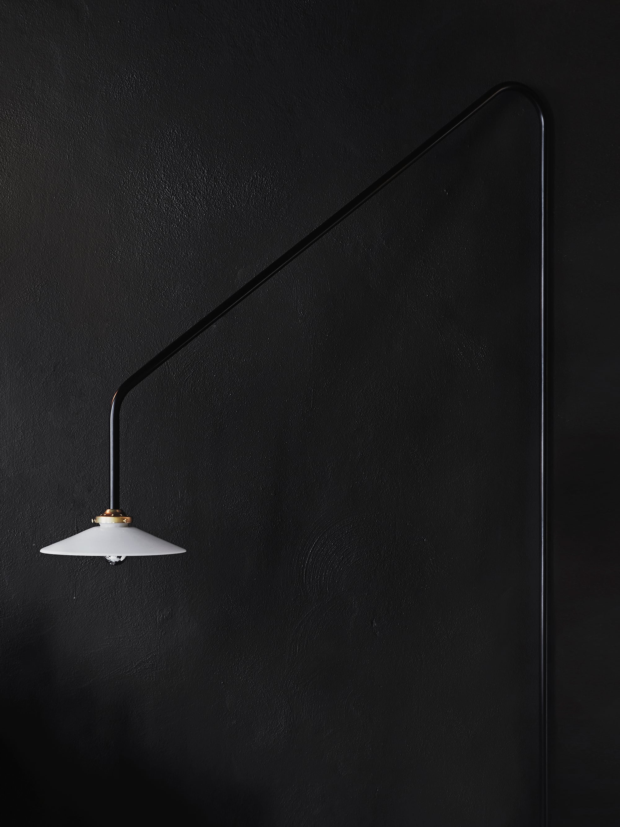10767 Defbb09932 Hanginglamp4 Kopia16449 Portrait