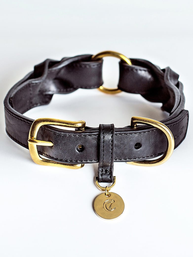 Hyde Park Collar – Black