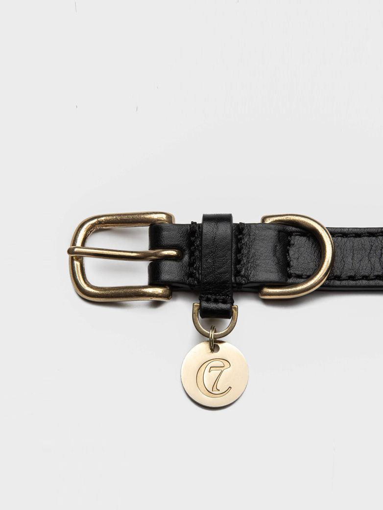 ysl dog collar