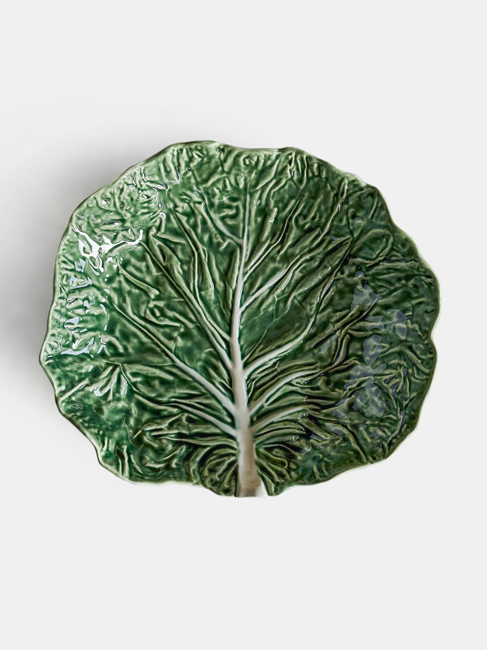 14135 8a80fb04cd 1 14135 5416883ebc 65000476 Cabbage Saladeira Zoom Portrait
