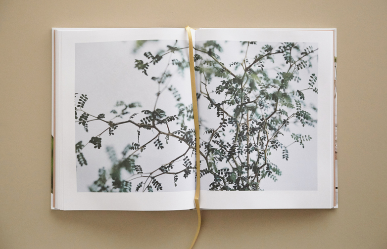 Green Home Book