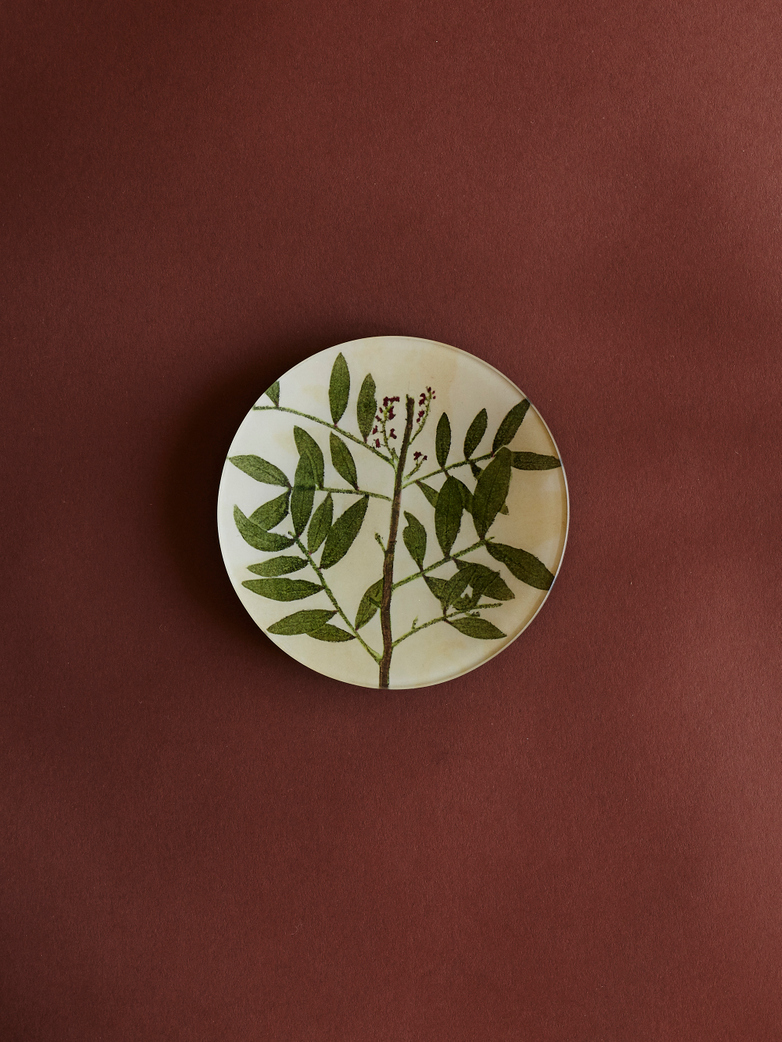 Pistacia Specimen Round Tray