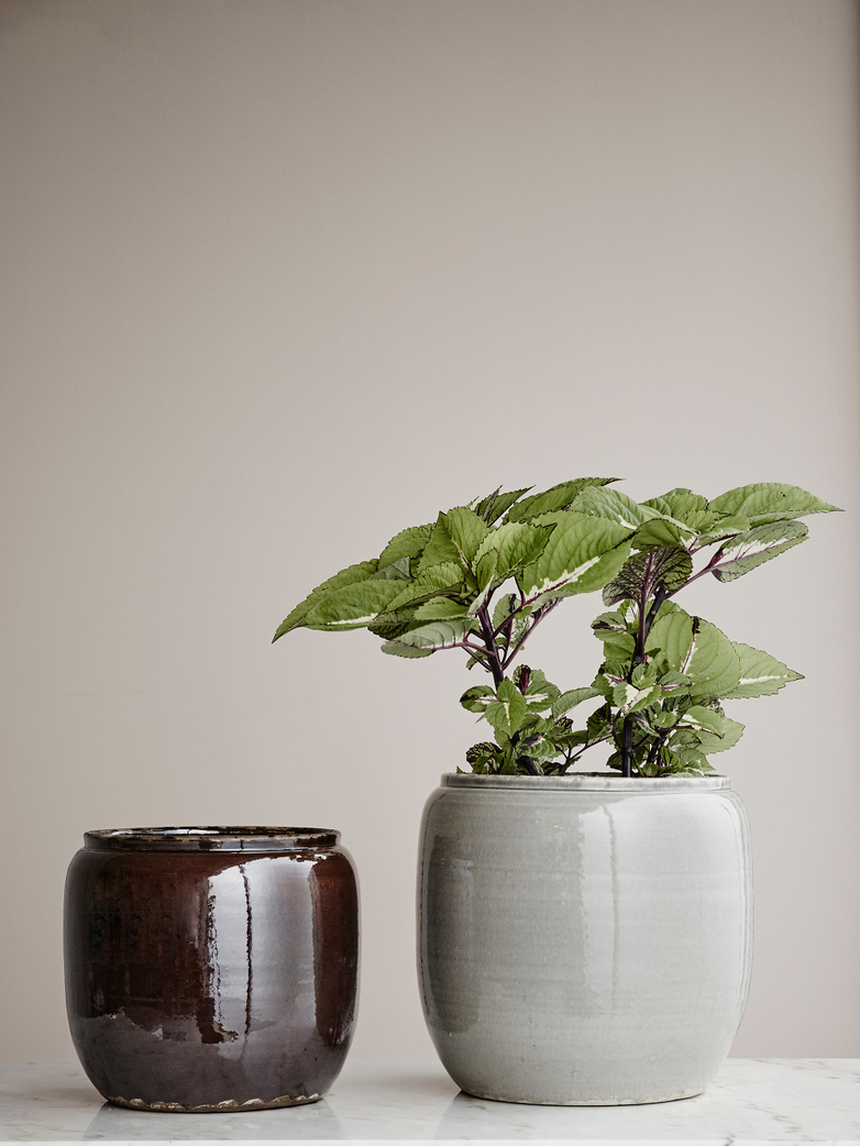 Costa Pot - Grey