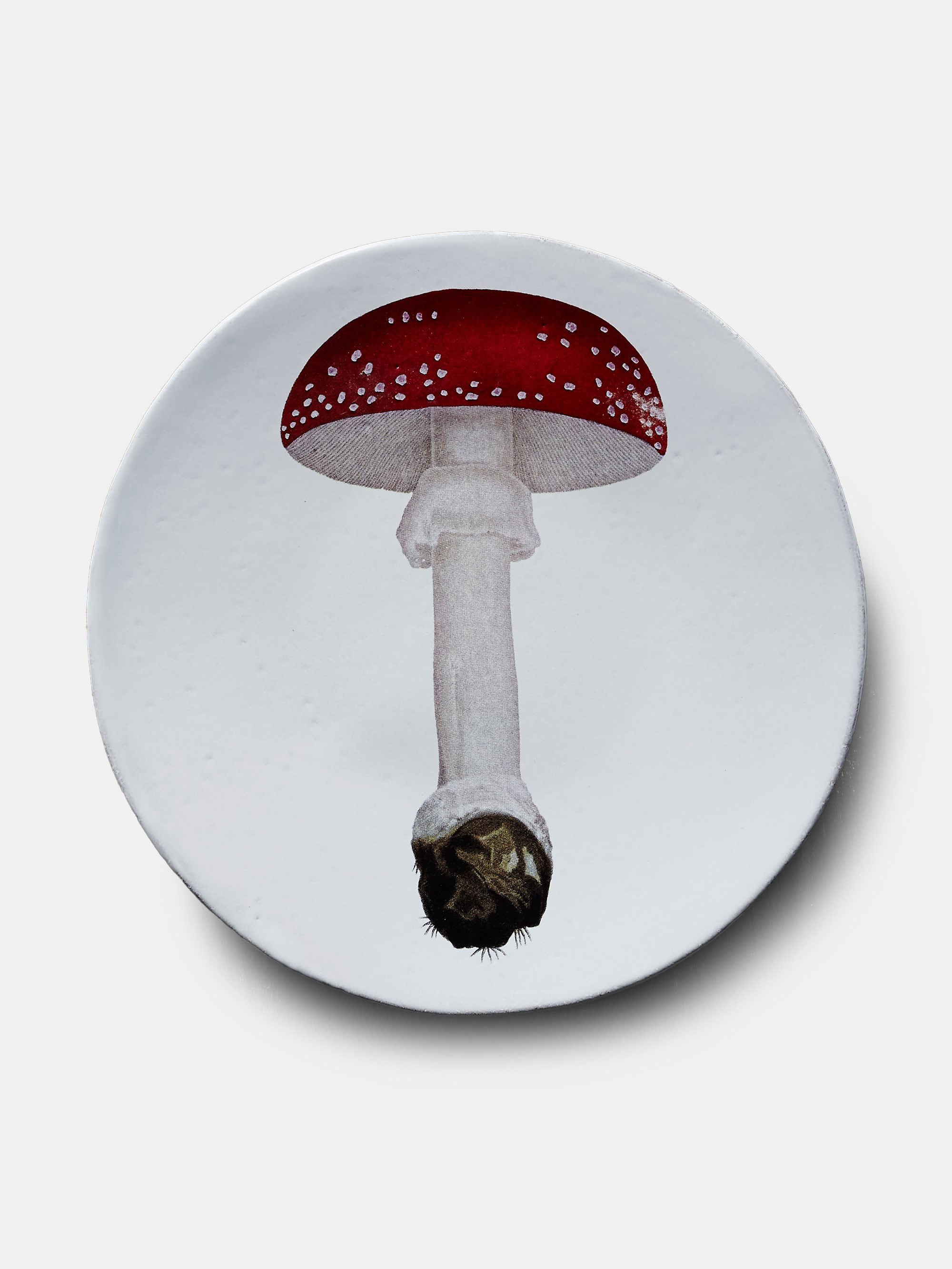 15591 8e6d507bd0 Agaric Fausse Oronge Umbrella Dinner Plate Portrait