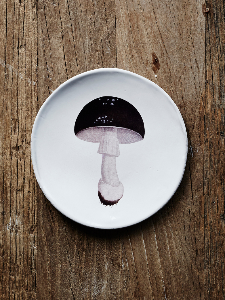 Agaric Fuligineux Dinner Plate