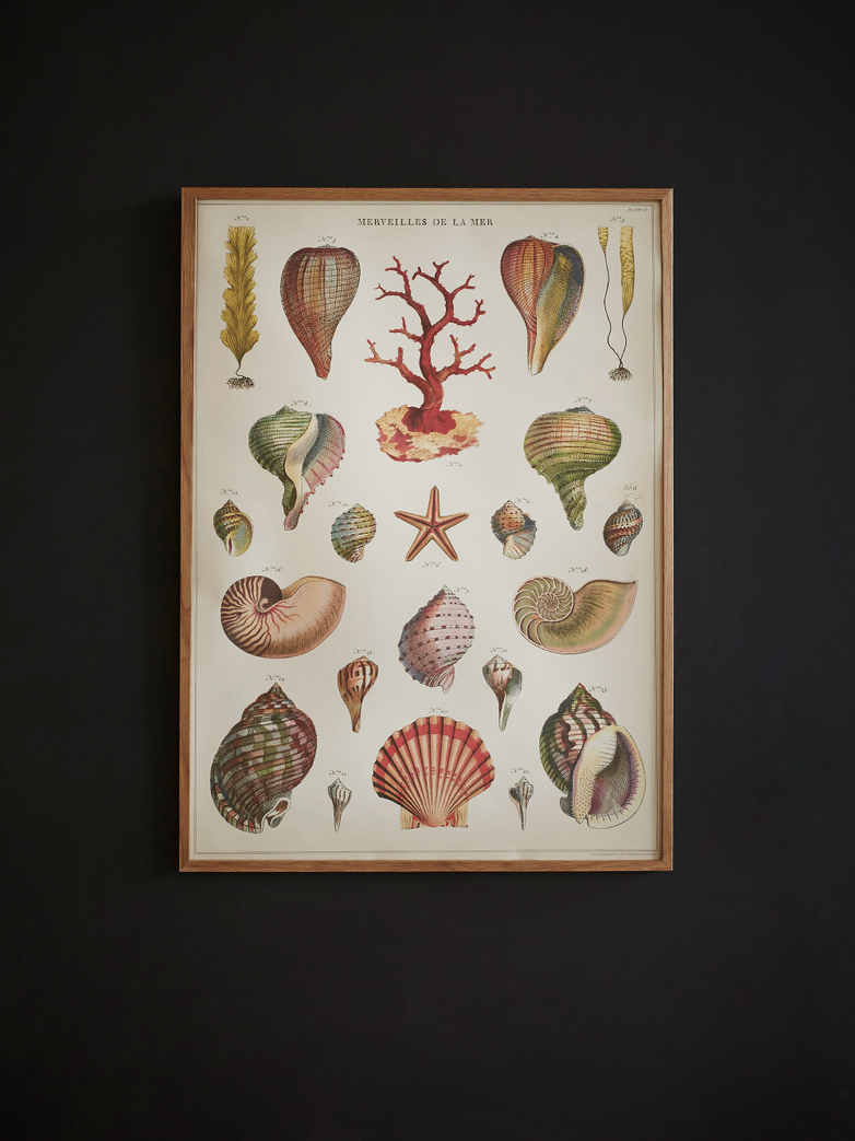 Poster Merveilles de la Mer