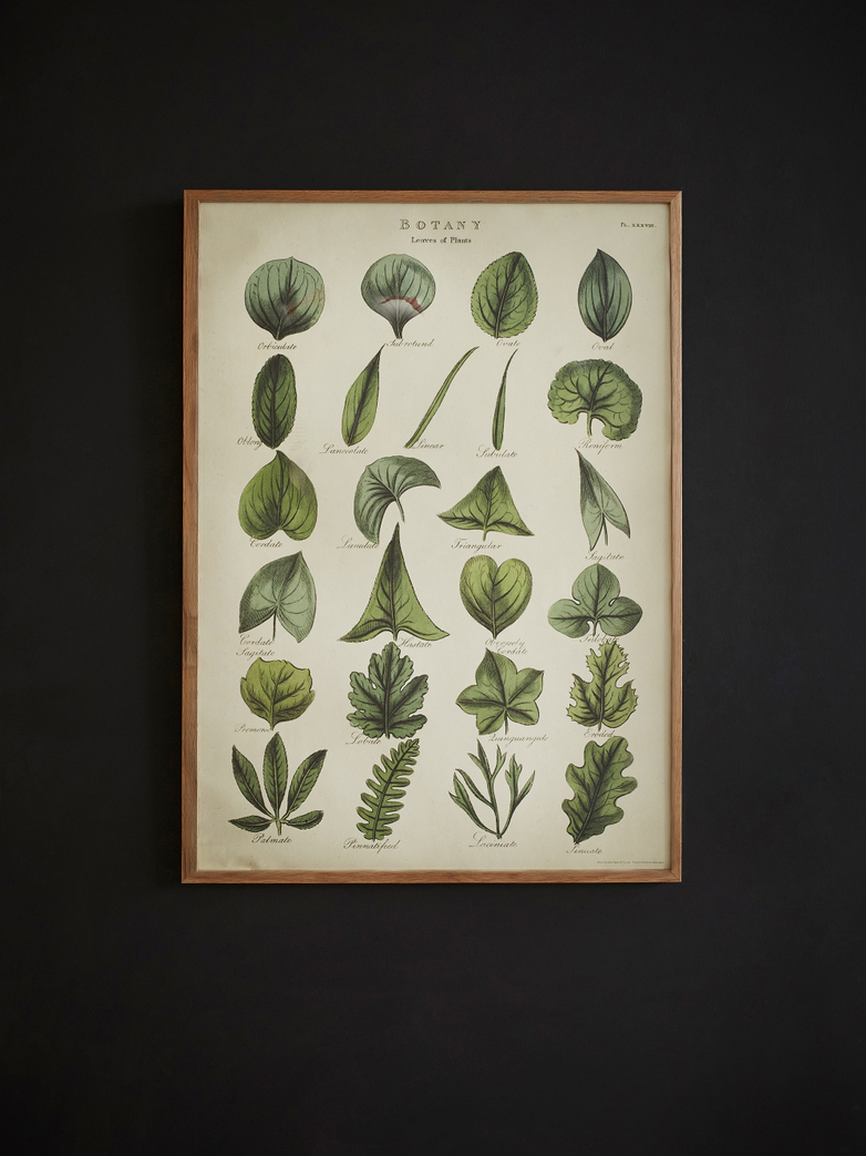 Poster Leaf