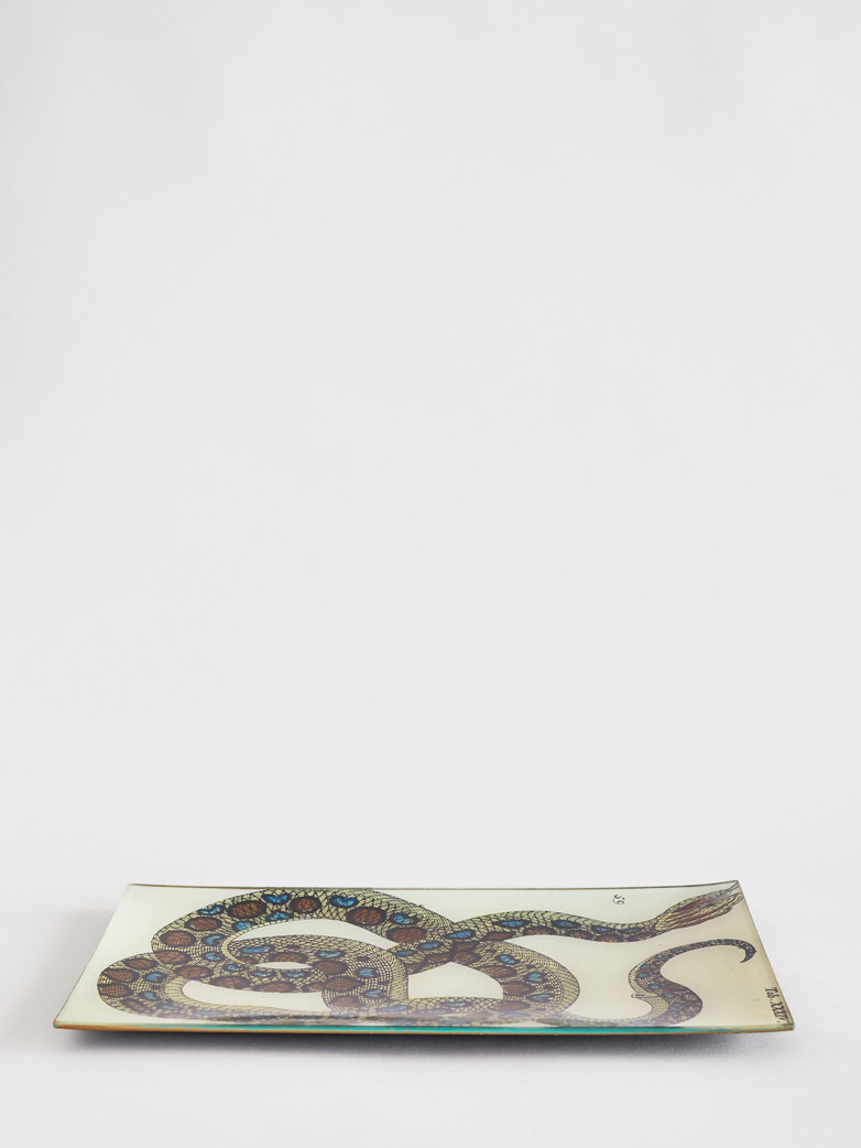 Snake XXXIV Rectangle Tray