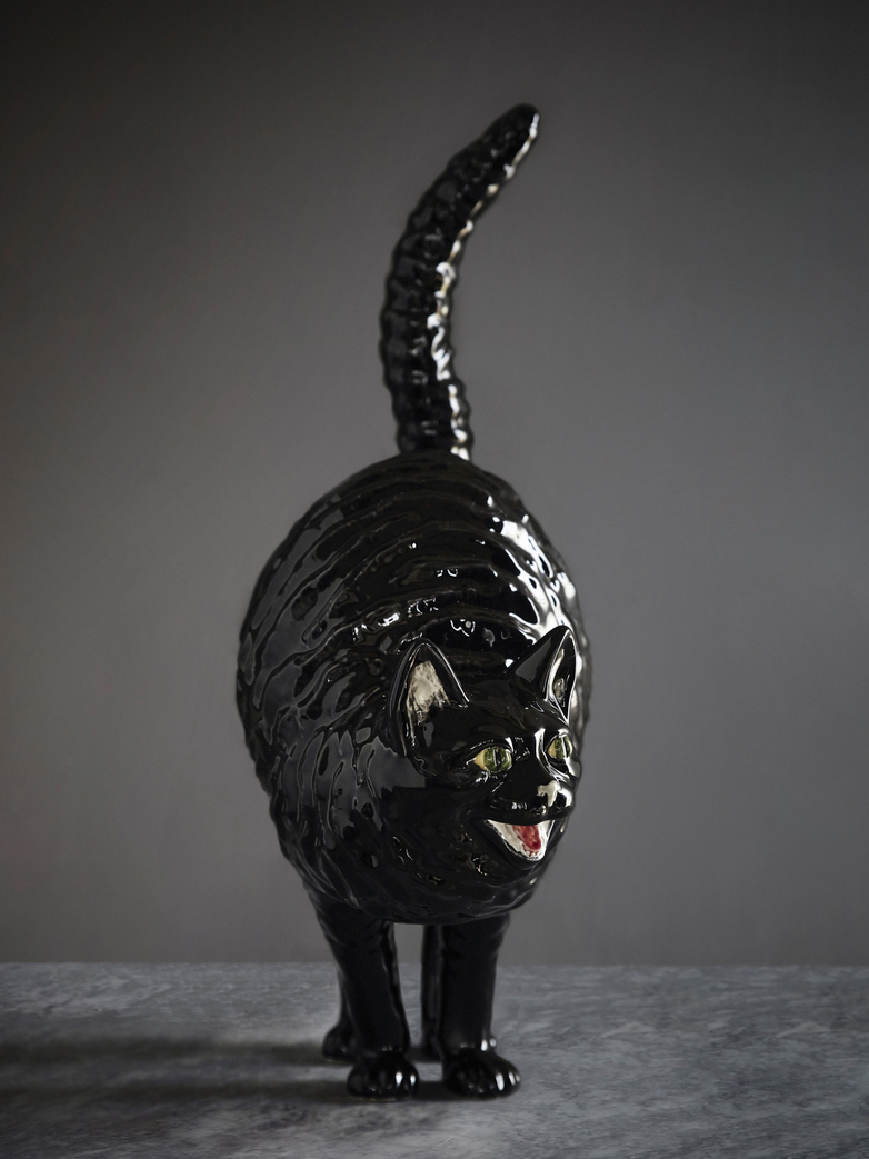 Hissing Cat Gato