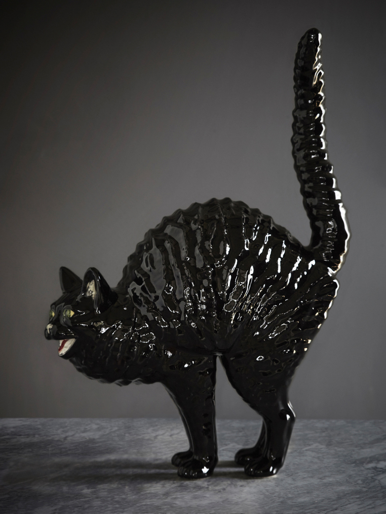 Hissing Cat Gato