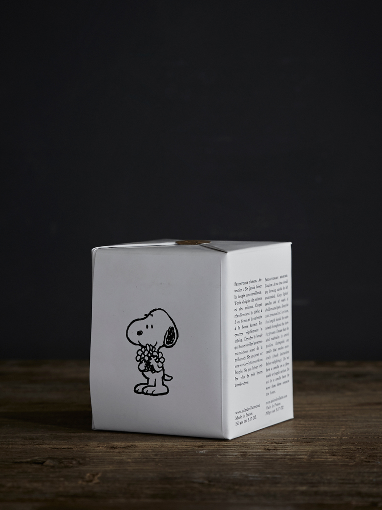 Santa Rosa Scented Candle