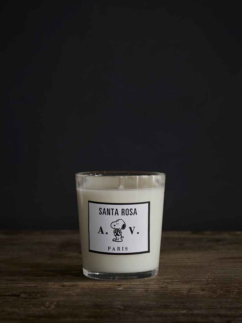 Santa Rosa Scented Candle