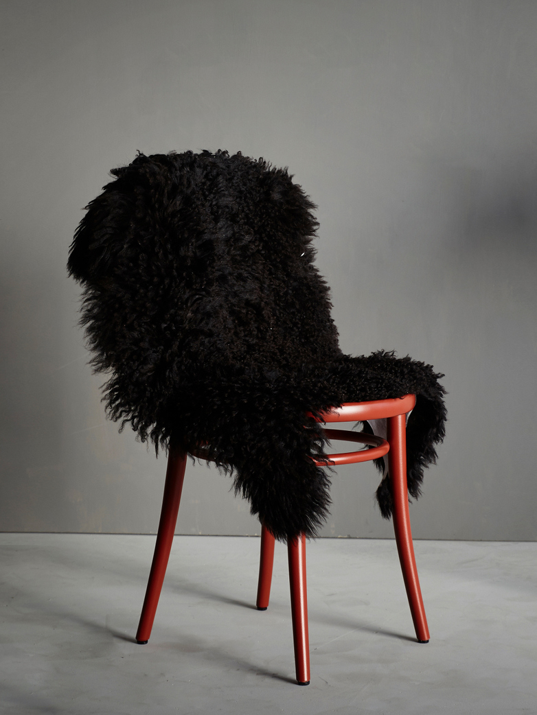 Curly Sheepskin - Blacky