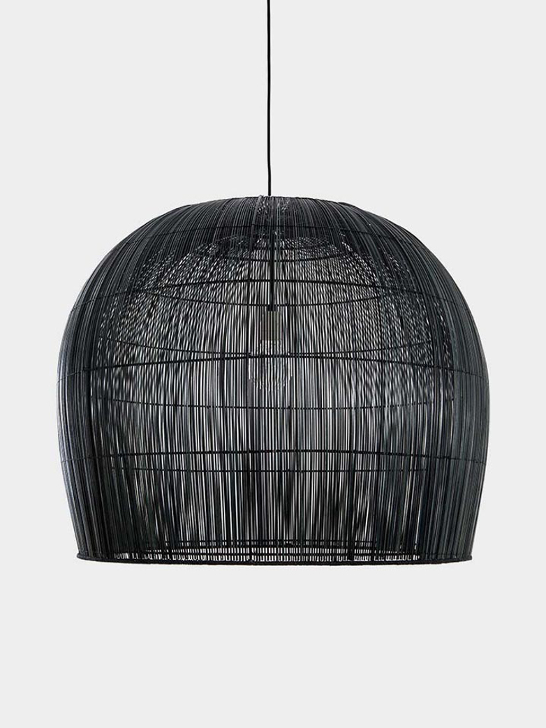 Buri Bulb Large