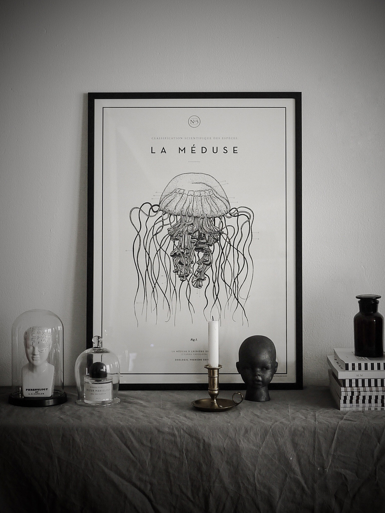 La Meduse No.5