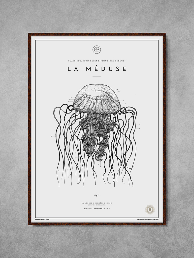 La Meduse No.5