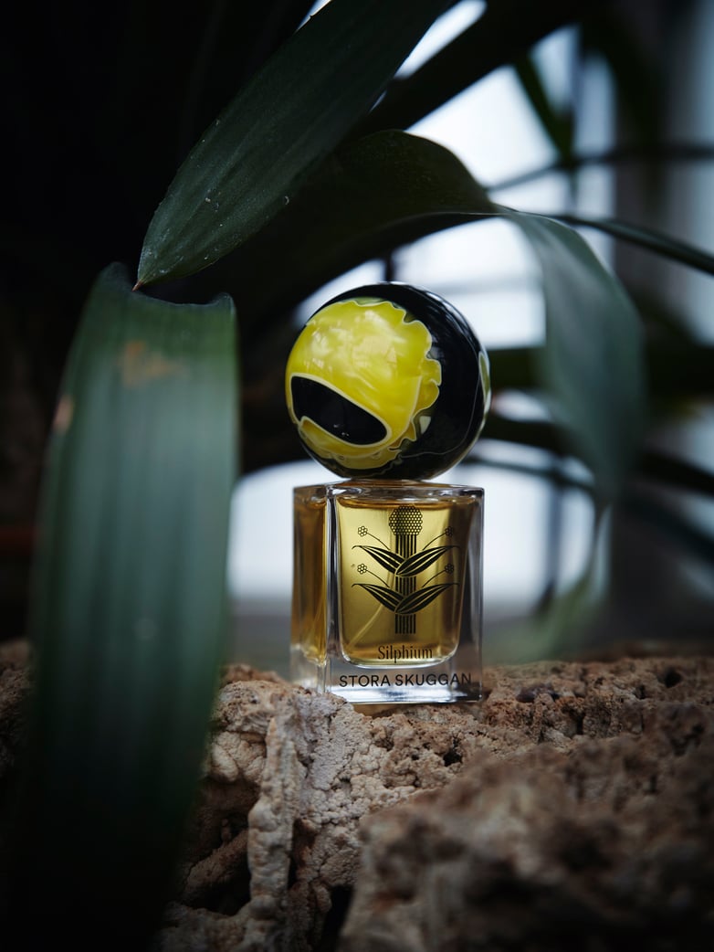 Silphium 30ml