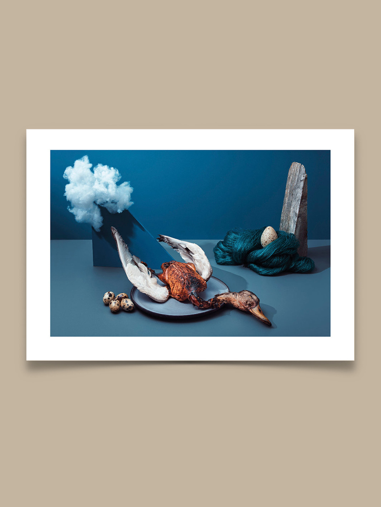 Noma II - 50 x 70 cm