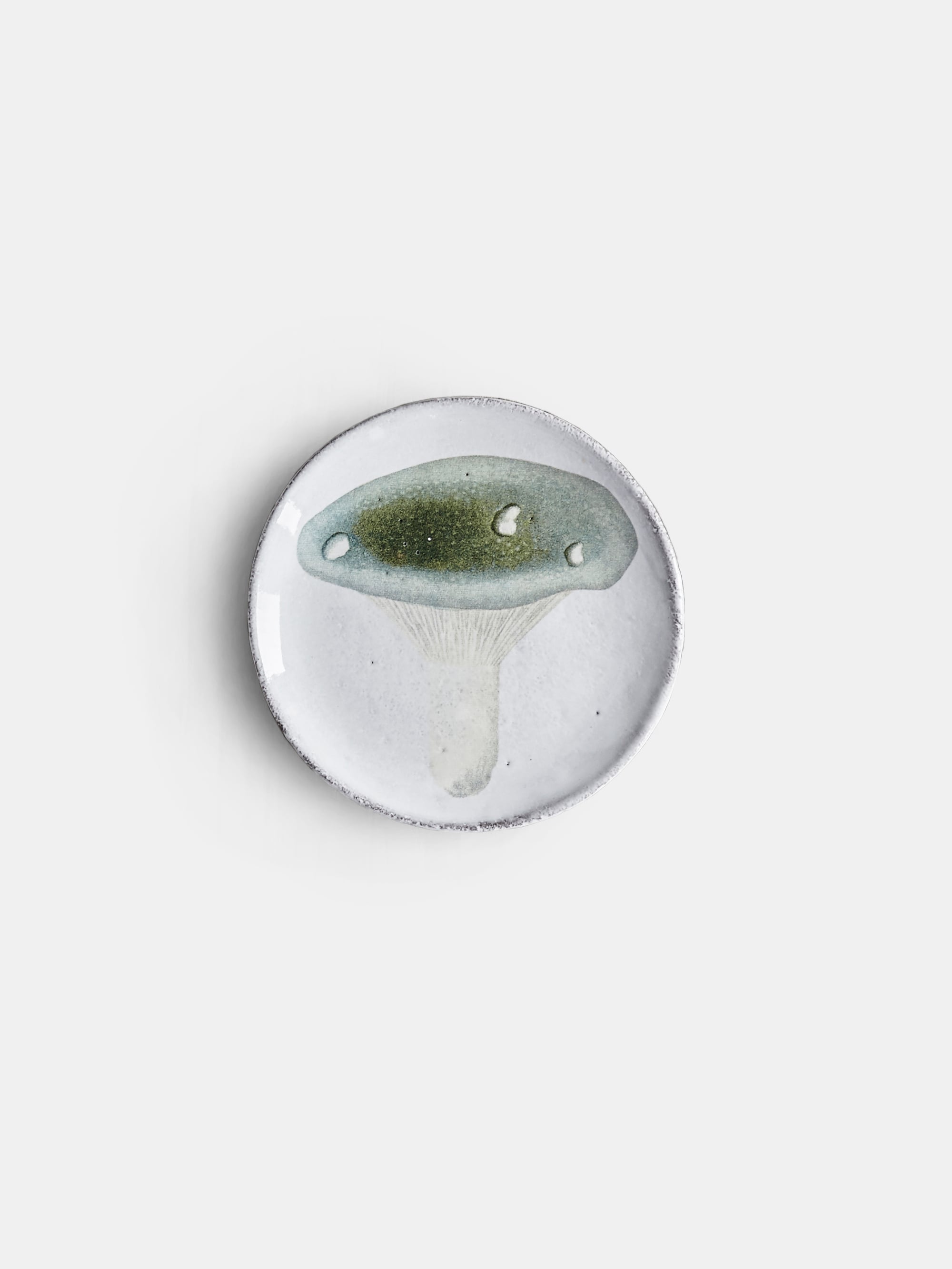 17993 6cb6f7c695 17993 87383abd31 Sscjhn53 Aragic Fourchu Saucer Original Portrait