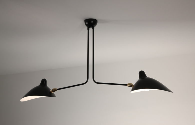Ceiling Lamp with Two Fixed Arms