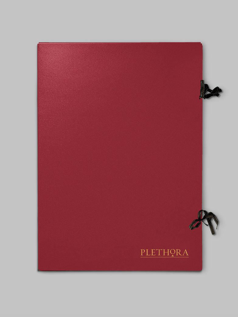 Plethora Magazine Issue No 7