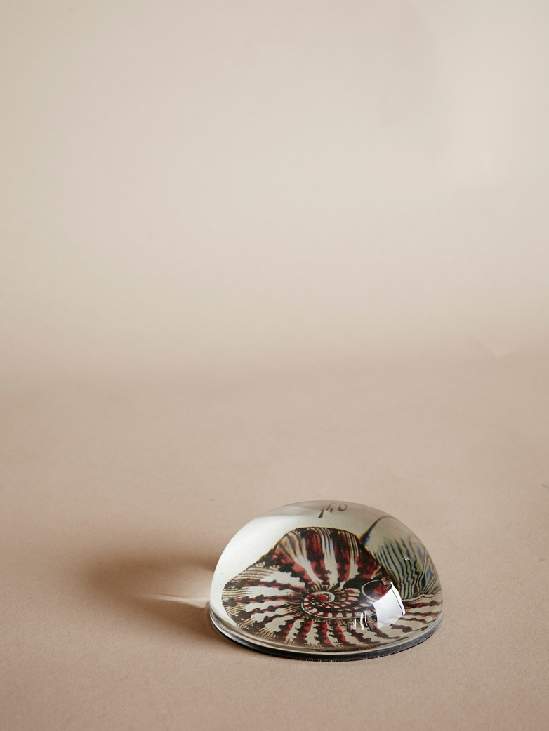 Paperweight Dome – Nautilus