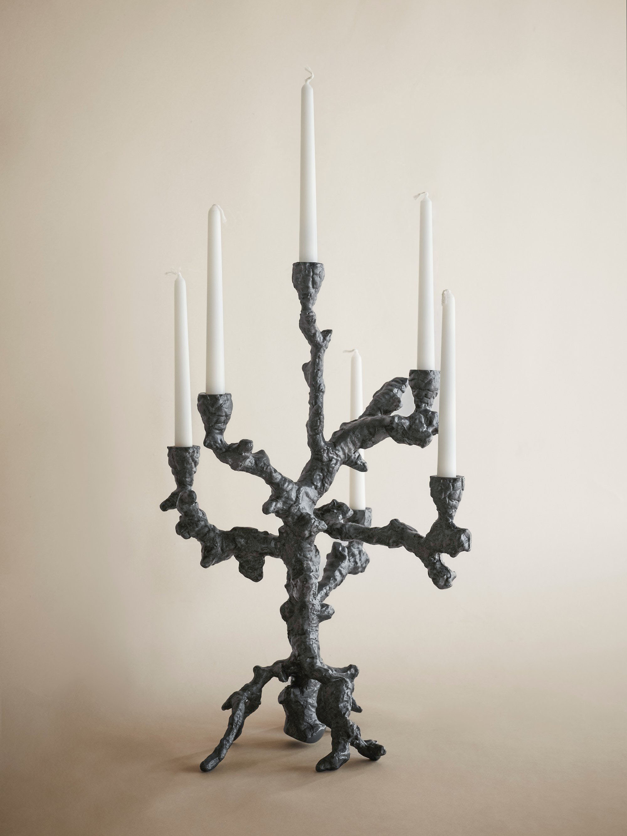 23683 87dd593a6e 23683 E483473f0f Apple Tree Candle Graphite 2 Portrait