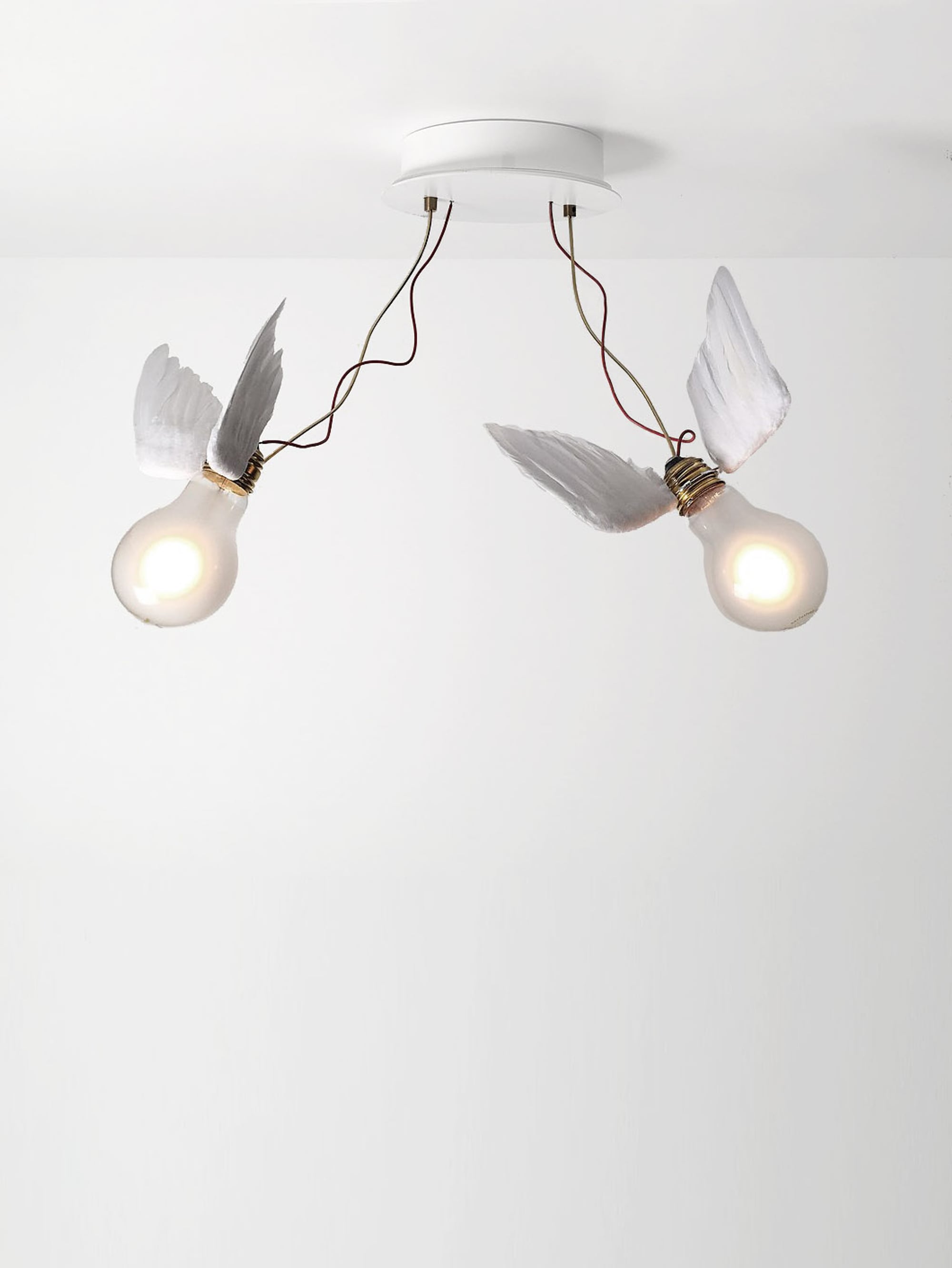 24470 E0e2ee1eaf Lucellino Doppio Ceiling1400 Portrait