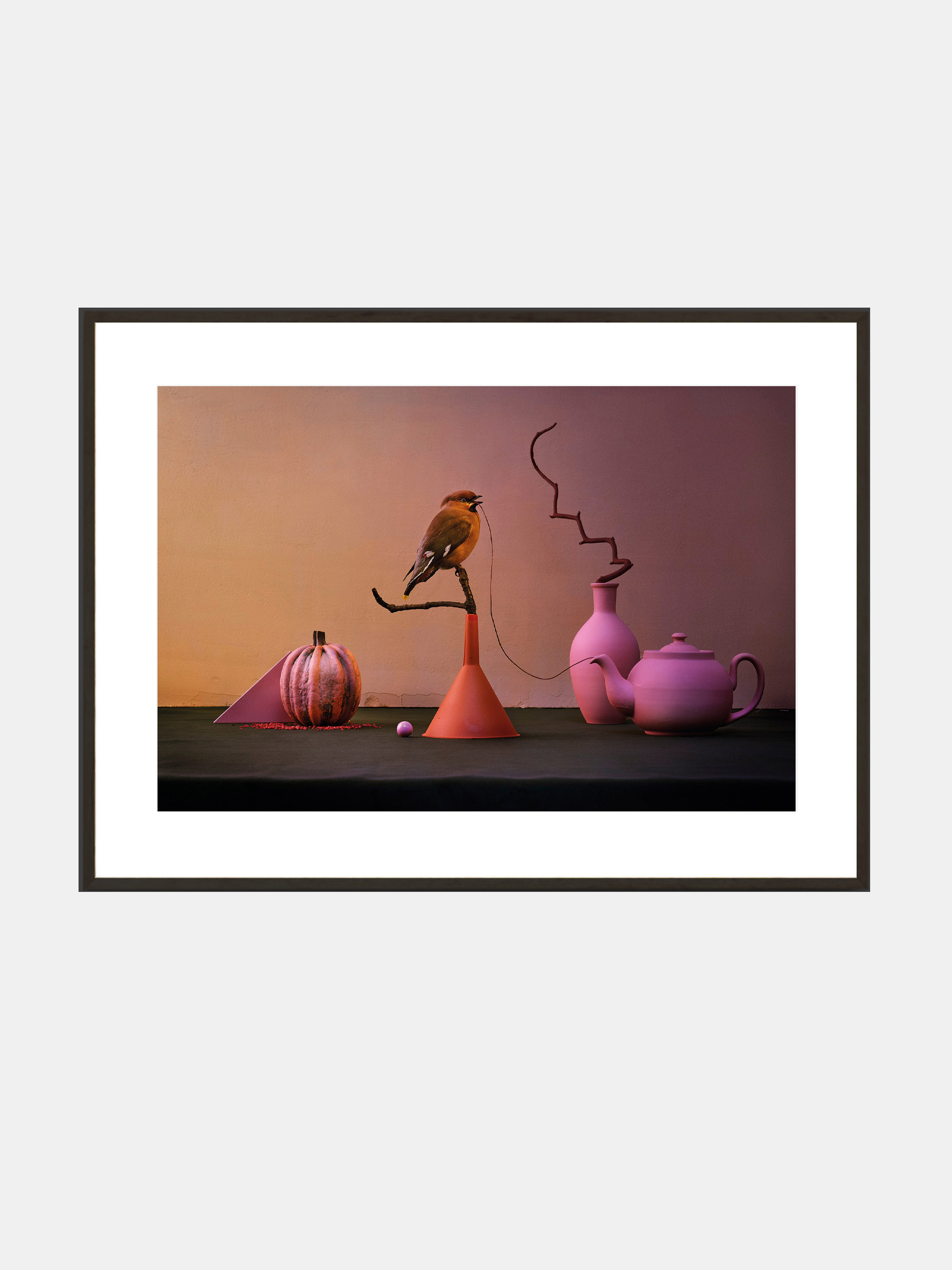 25916 A420bdd736 Yellow Bird Blackframe Portrait