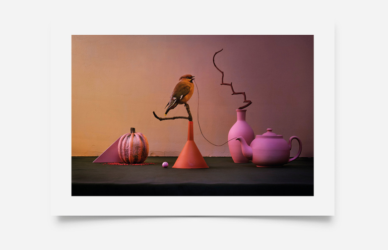 Yellow Bird – 50x70