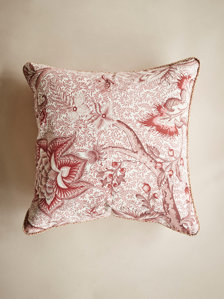Rose Ancien – 50 x 50