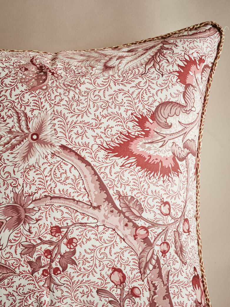 Rose Ancien – 50 x 50