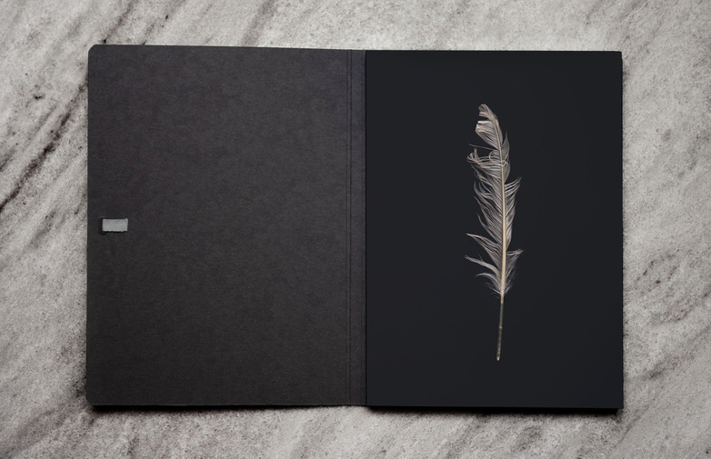Artist Edition – Weight of A Feather