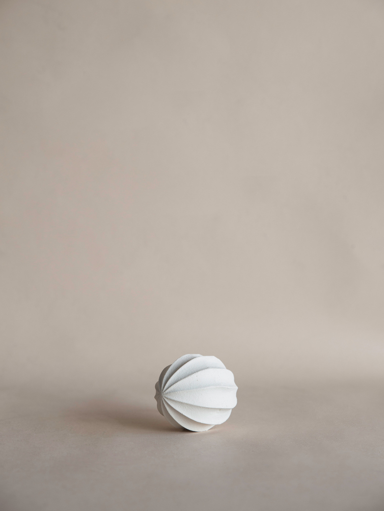 Citrus Squeezer White
