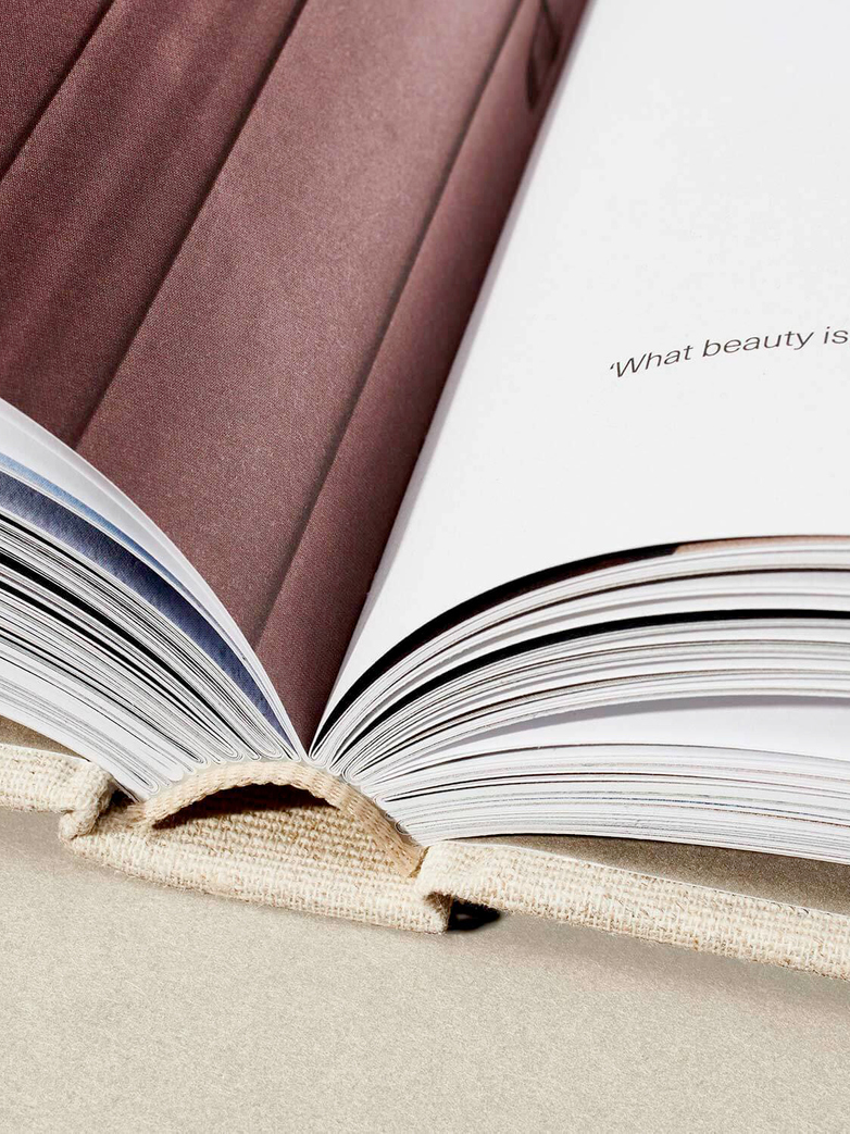 Aesop: The Book