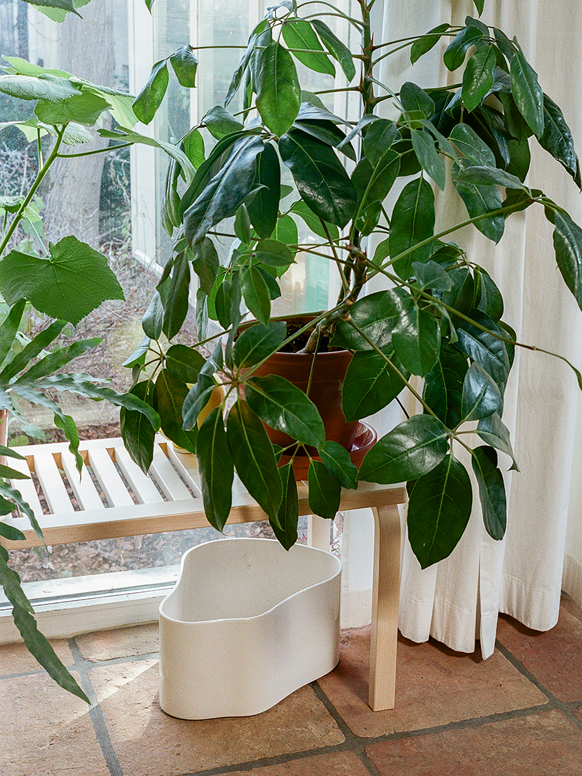 30893 Ded748ca96 1846778 Riihitie Plant Pot A Large White Bench 153b Master Portrait