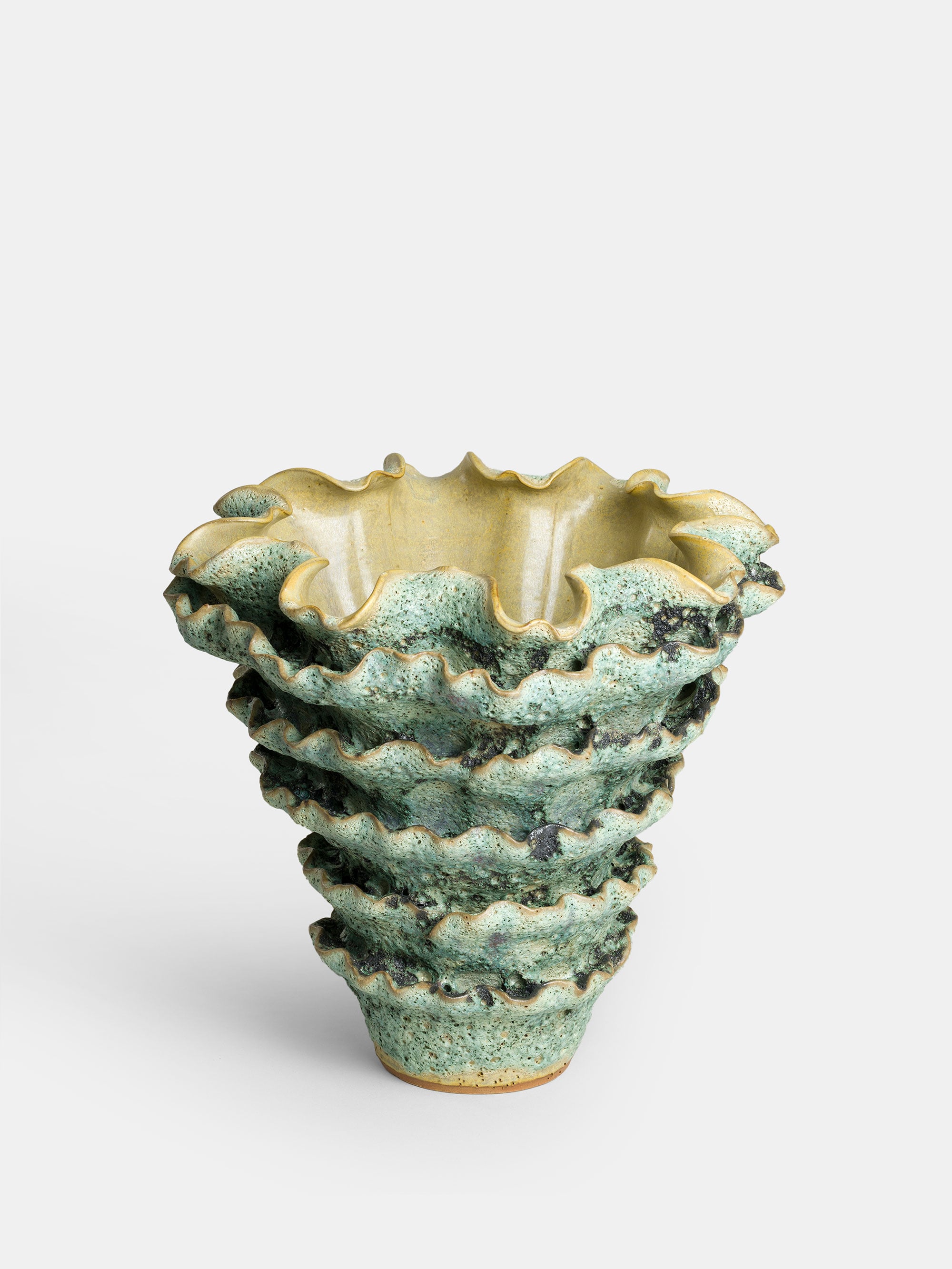 31356 3c9f680601 Vase Cabbage Portrait