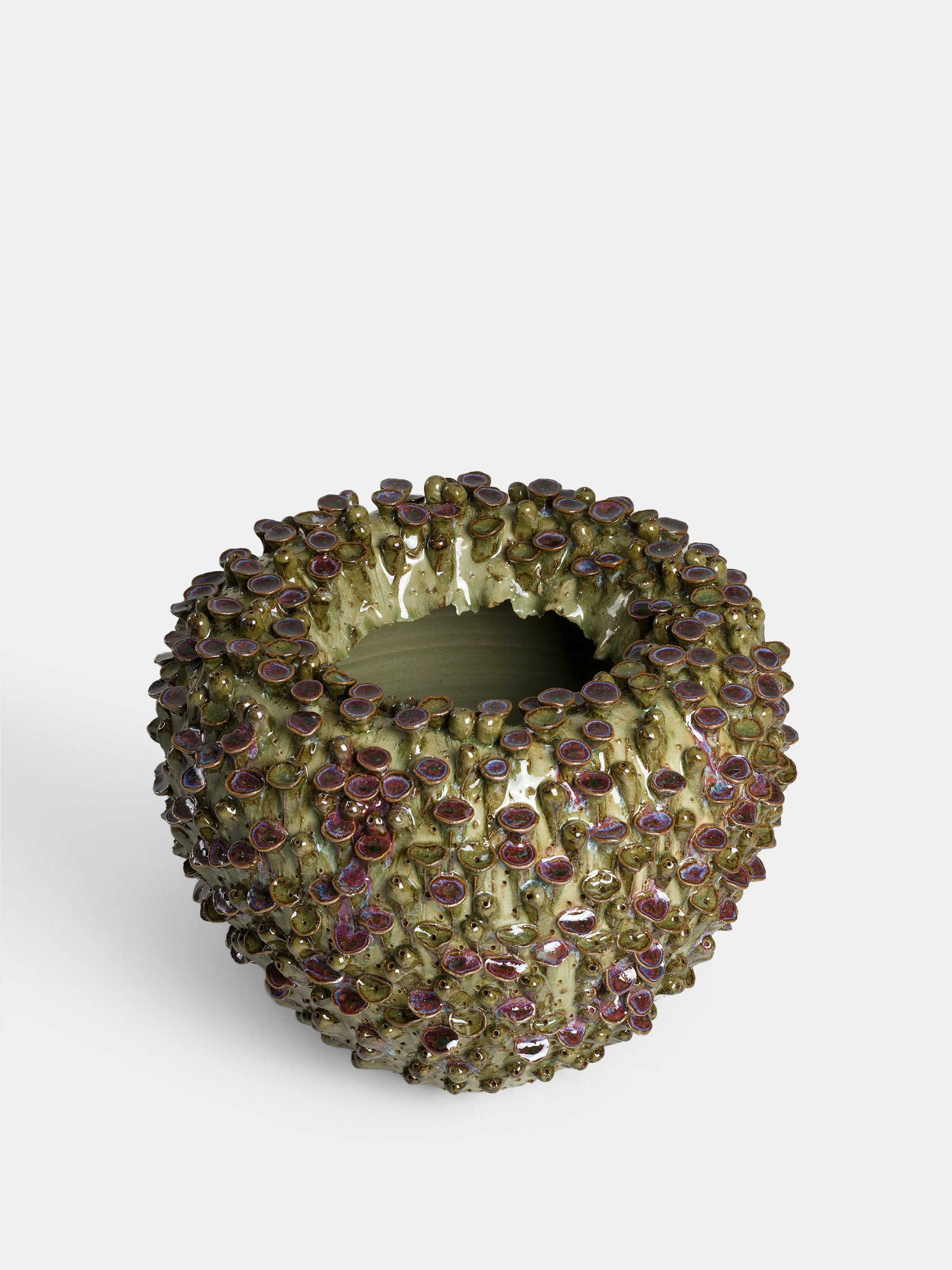 31359 864956fbb0 Vase With Fungus Green126409 Portrait