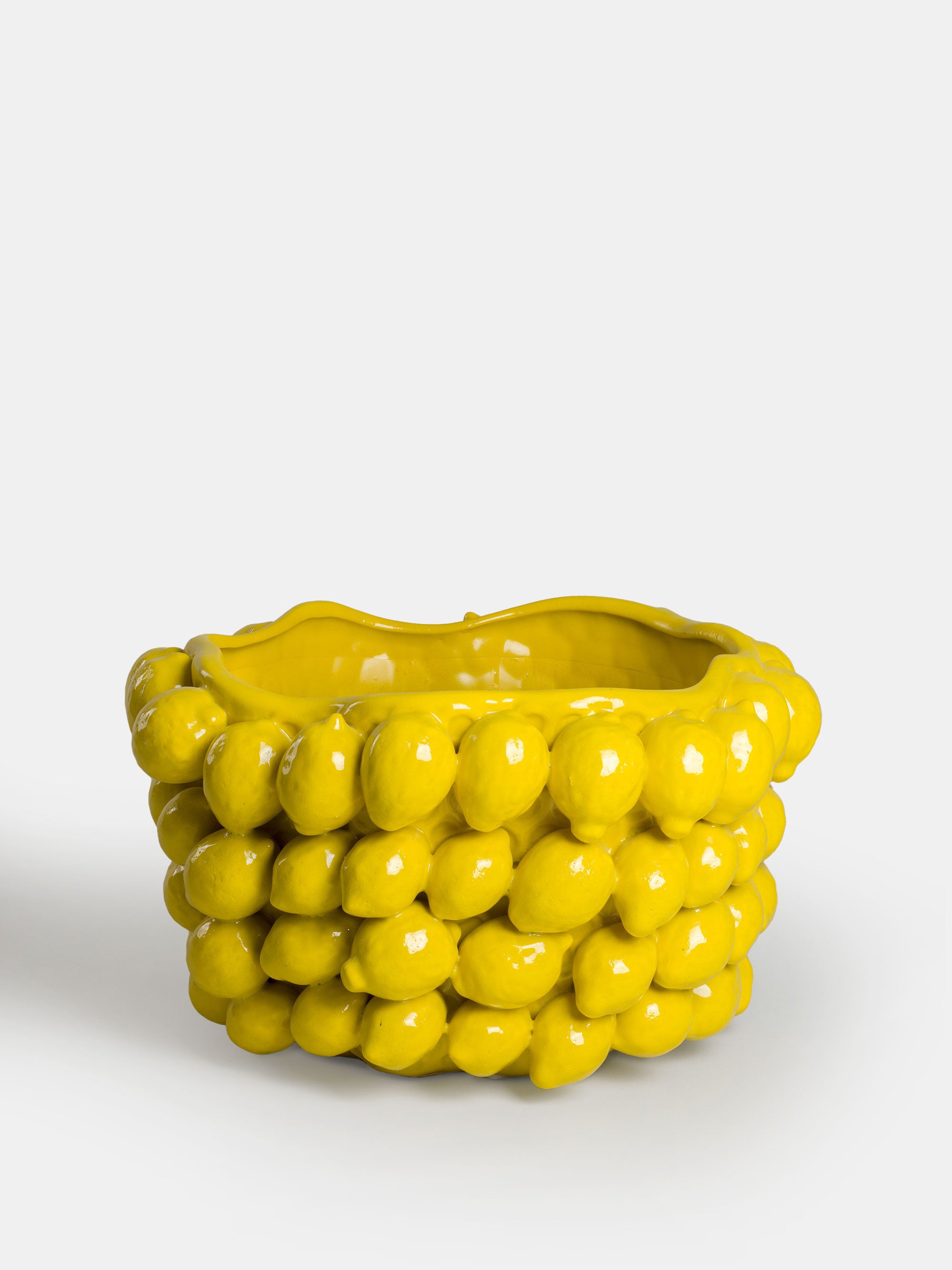 31363 52b0f574e8 Lemon Pot Portrait