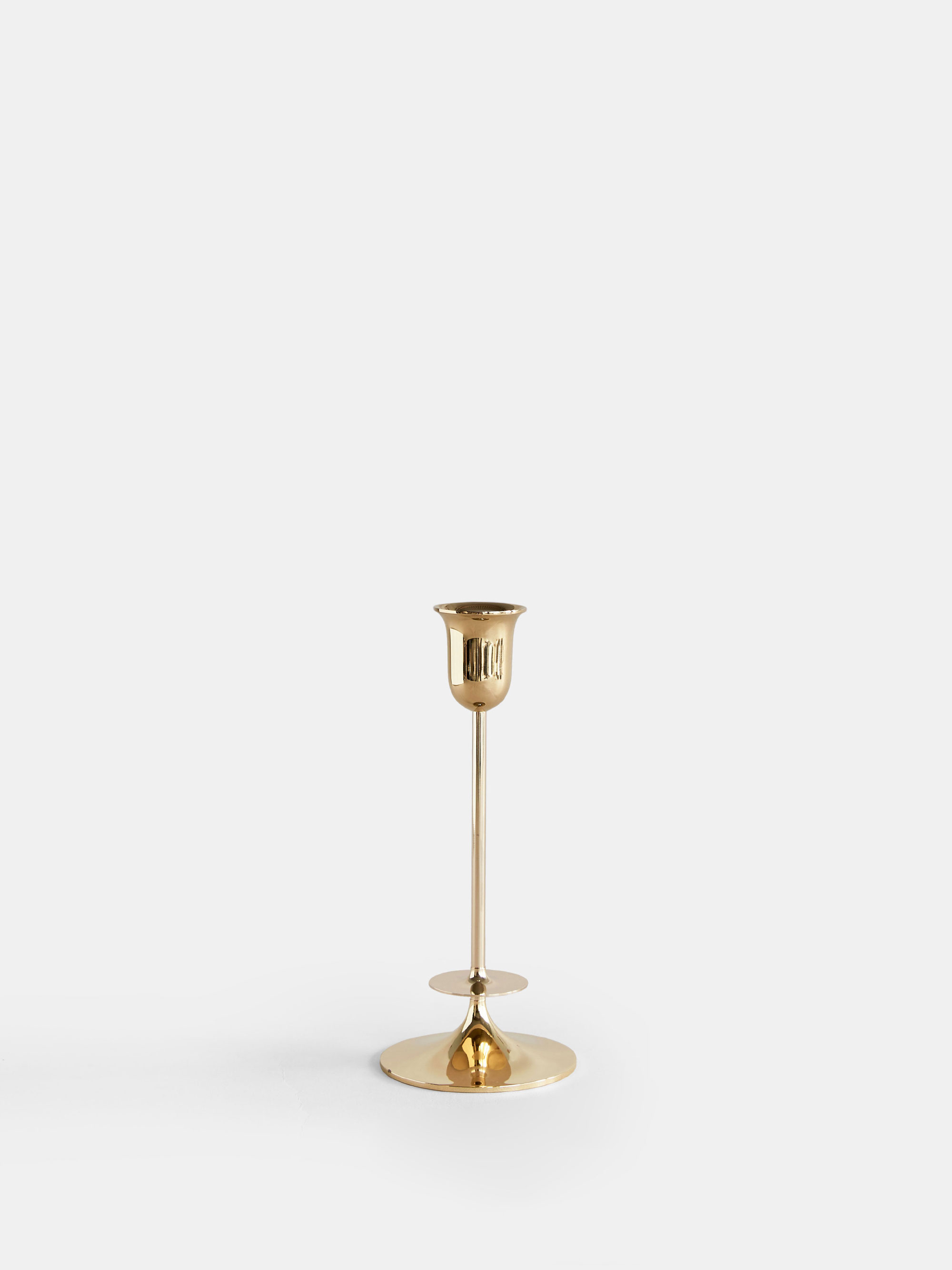 32145 3bf77dc684 Totem Brass 16 Portrait
