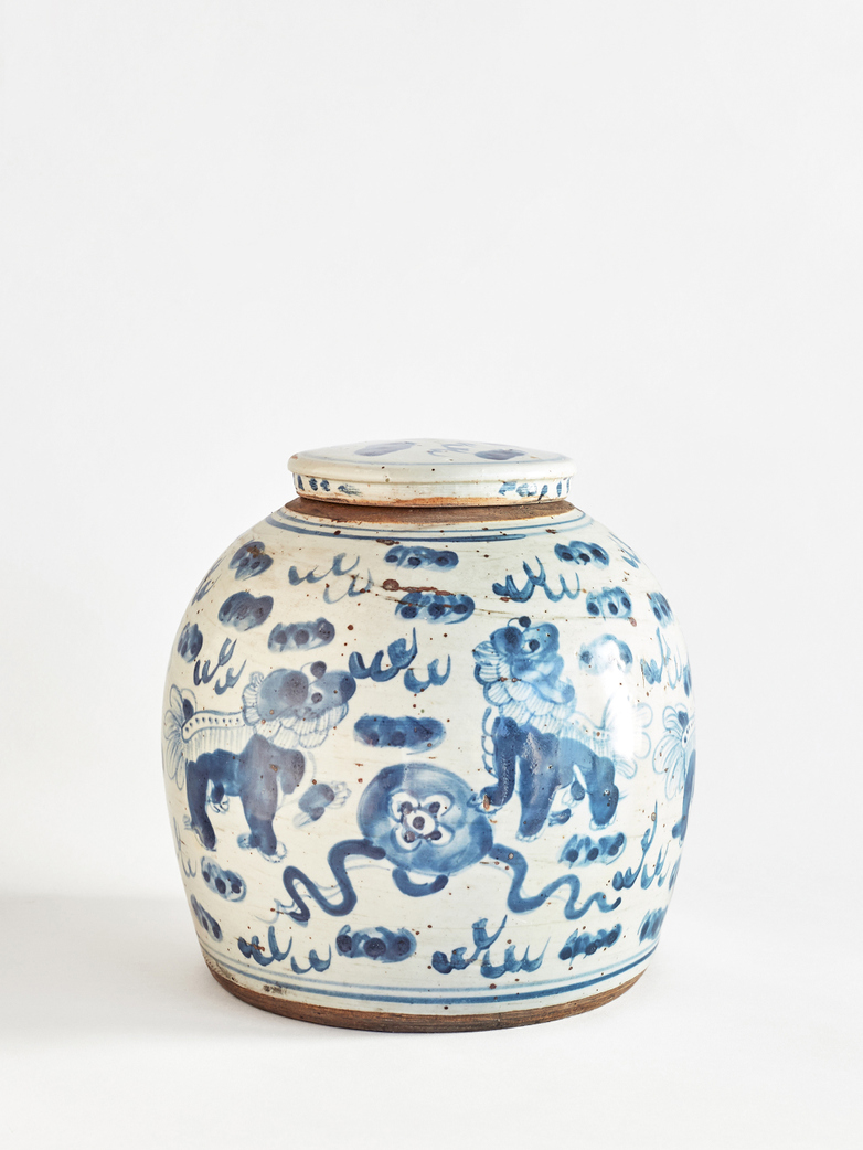 Ginger Pot Dog