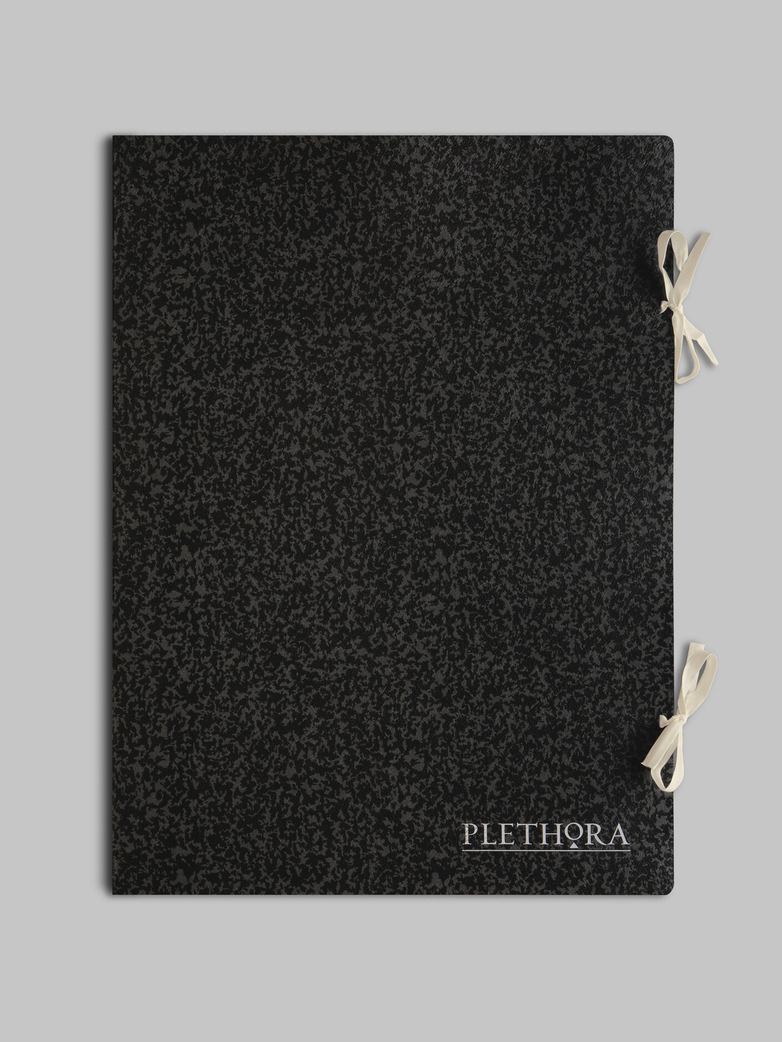 Plethora Magazine Issue No 10