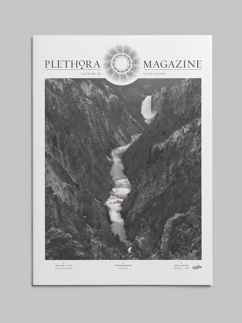 Plethora Magazine Issue No 10