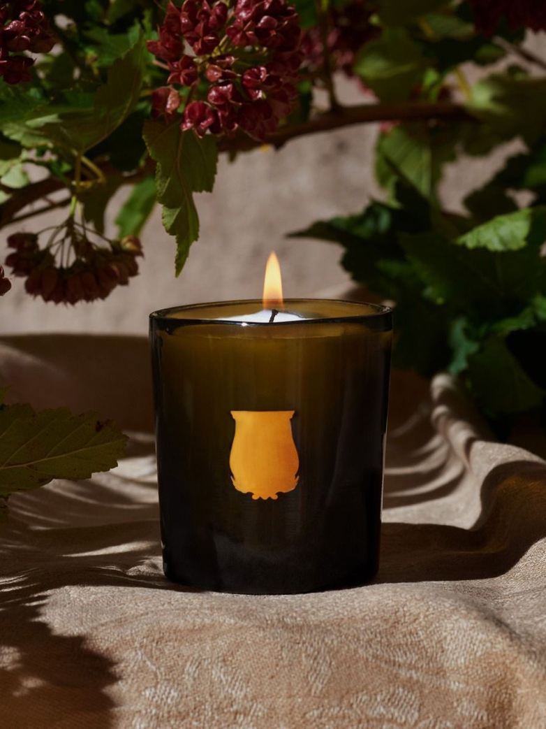 Cire Trudon - Classic Scented Candles Collection