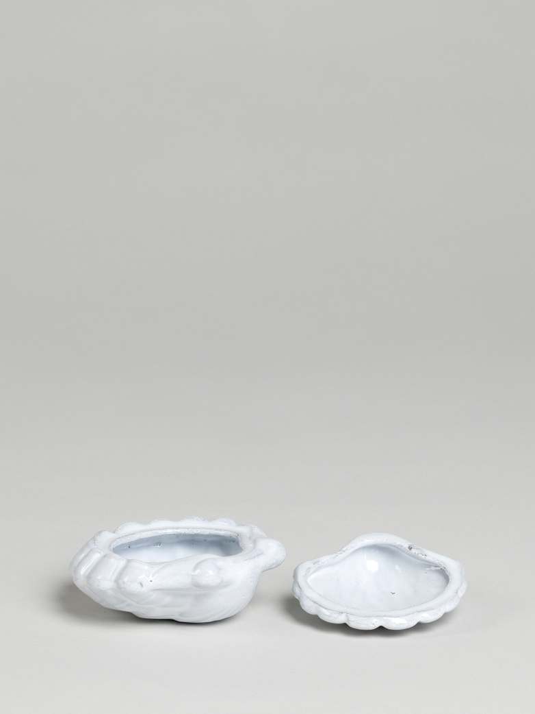 Shell Box