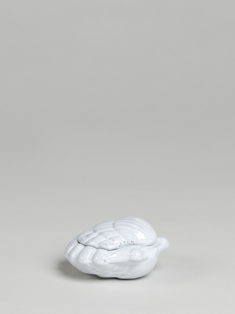 Shell Box