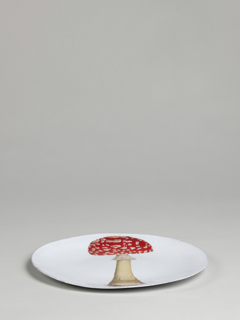 John Derian Agaric Fausse Oronge Dinner Plate