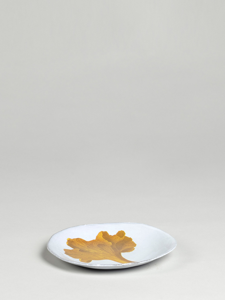John Derian Chanterelle Dinner Plate