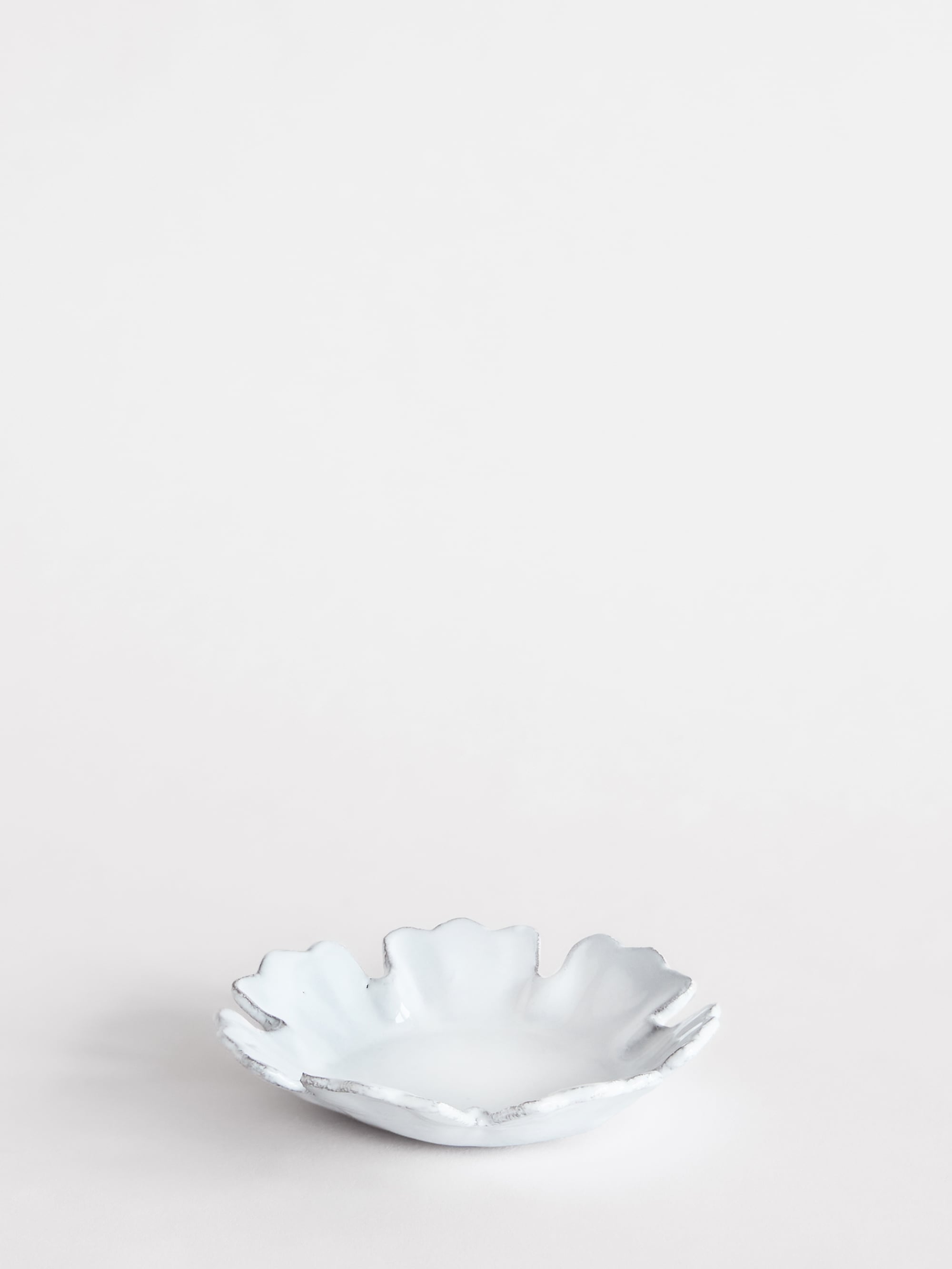35639 554d1cbbea Chou Dish With 7 Petals Portrait