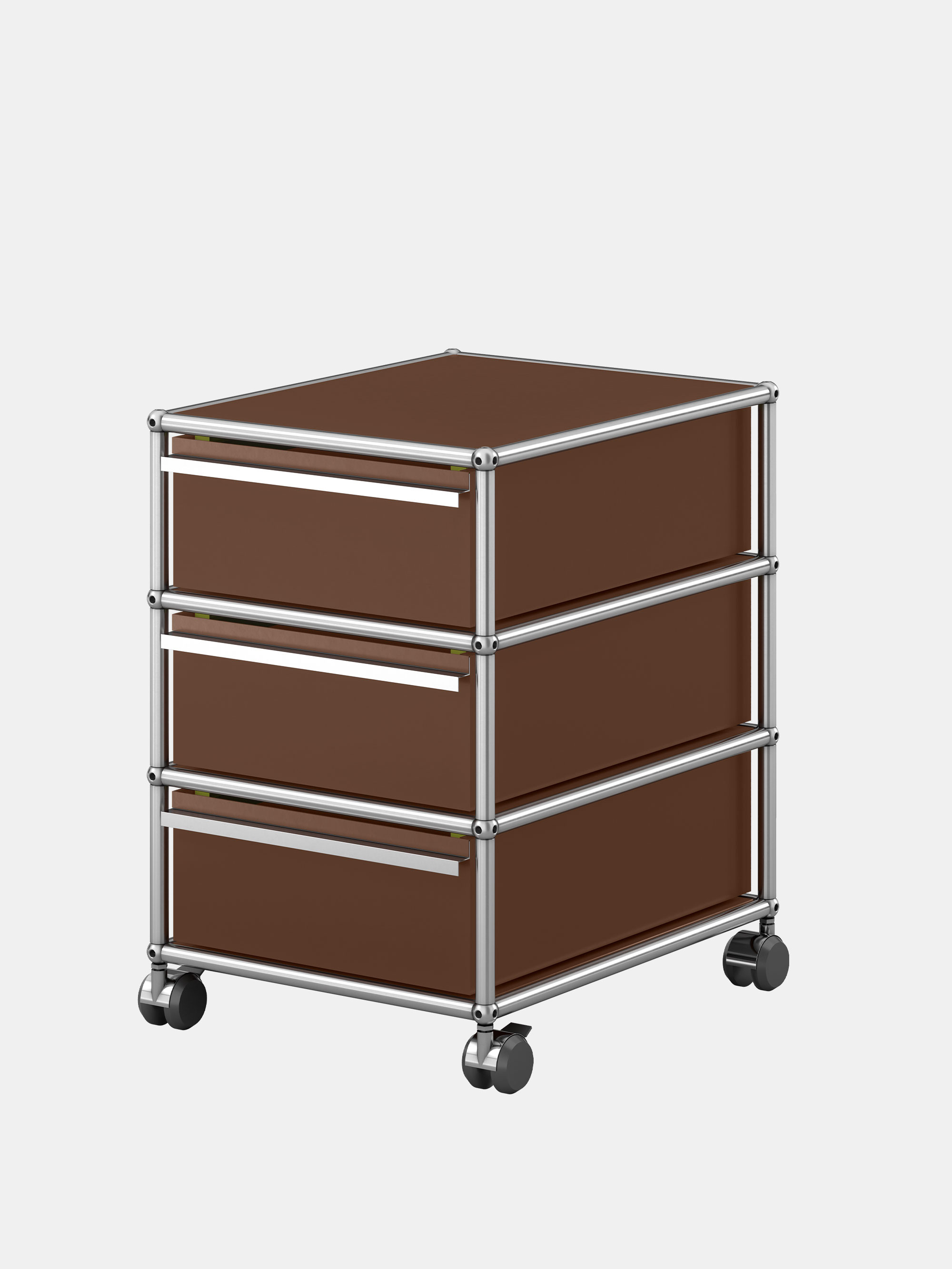37039 F119cf1917 Haller 100 Brown 1 Portrait